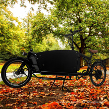 cargo vélo électrique à vélo de cargaison avec suspension avec suspension